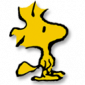 Bild von raymac74