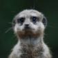 Hoppla1's picture